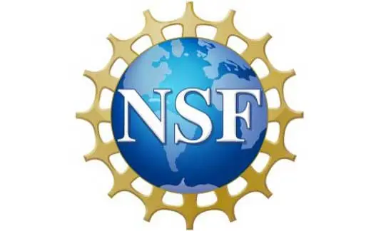 NSF SBIR award